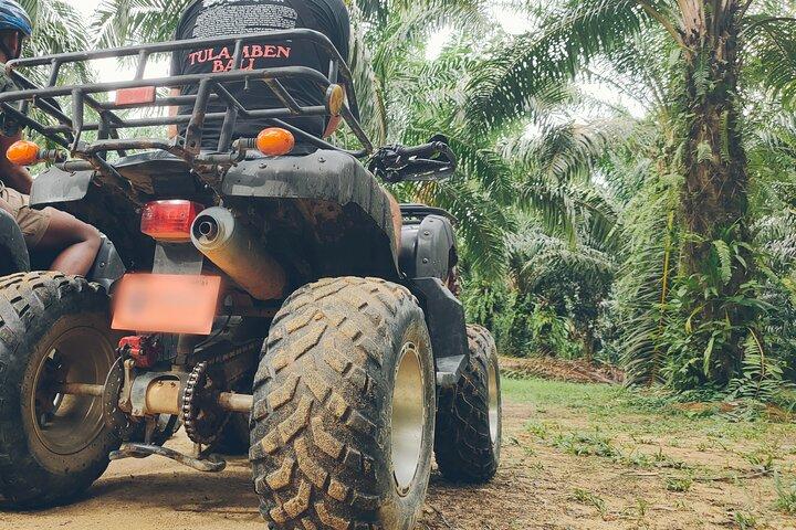 ATV Ride and Lampi Waterfall