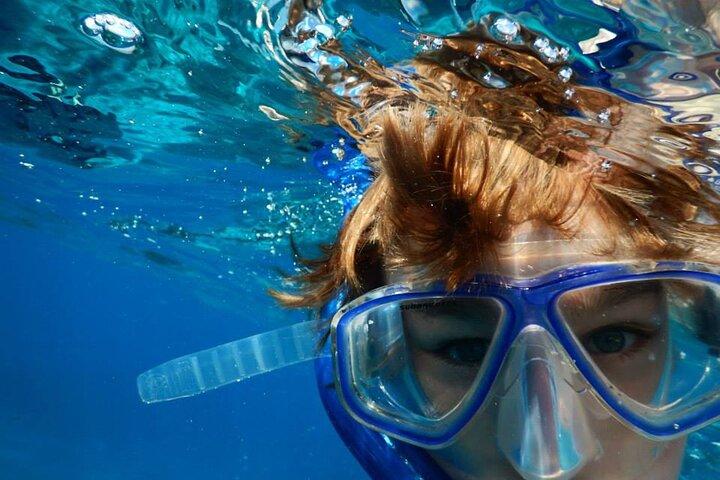 Marathon Key: 3-hour Snorkeling adventure on a Pontoon at Sombrero Reef
