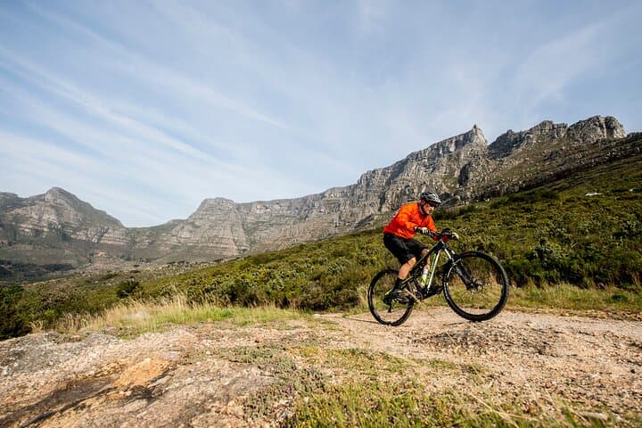 Private Mountain bike on Cape Town Trails with a Pro