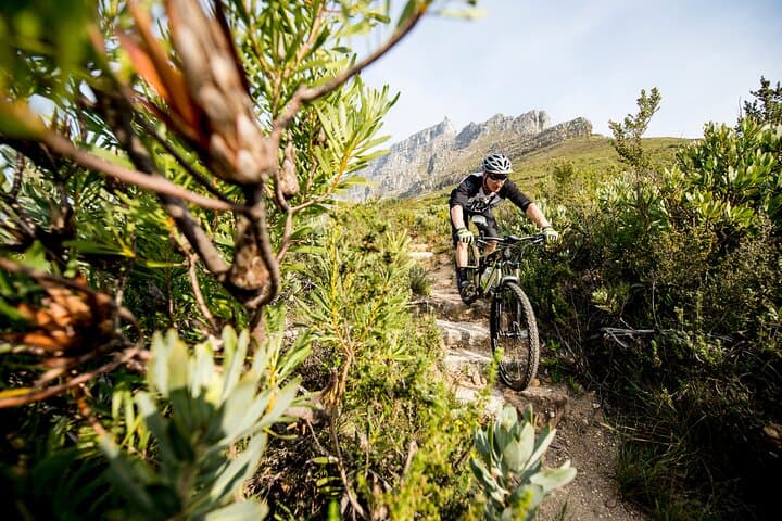 Private Mountain bike on Cape Town Trails with a Pro