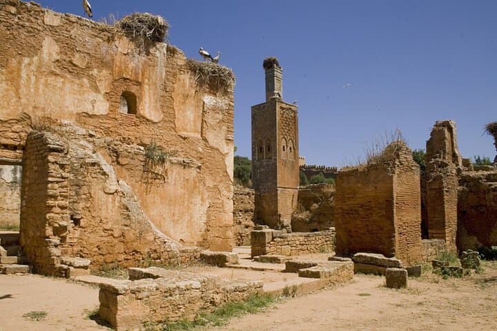 Rabat Private Full-Day Trip from Casablanca with Hotel Pick up.