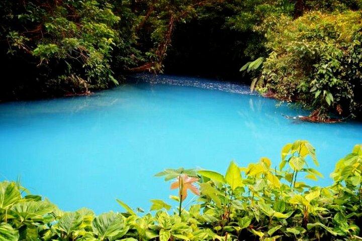 Rio Celeste Tour: Hiking, Sloth Sanctuary & Llanos de Cortes Waterfall (PRIVATE)