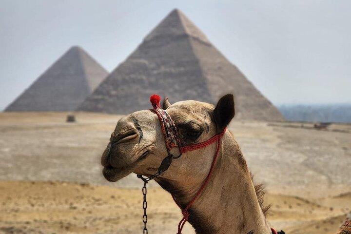 Day Tour to Giza Pyramids, Memphis City And Saqqara Pyramid
