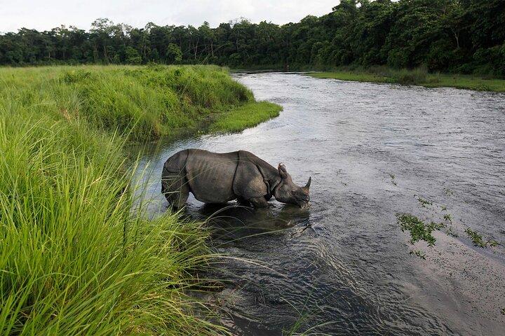 3-Day Chitwan National Park Jungle Safari Tour Package with Pick Up