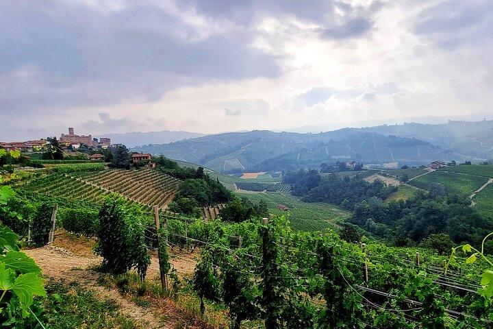 Barolo & Langhe Wine Tasting Tour from Turin