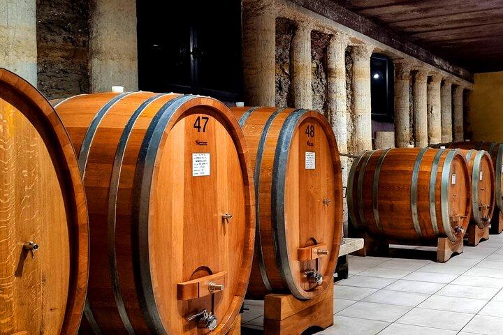 Barolo & Langhe Wine Tasting Tour from Turin