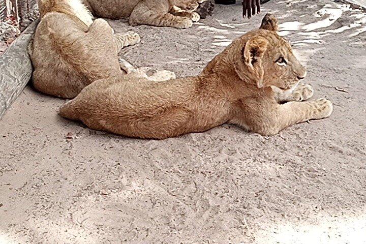 Senegal private tour 7 days 6 nights-minimum 2 people to book it