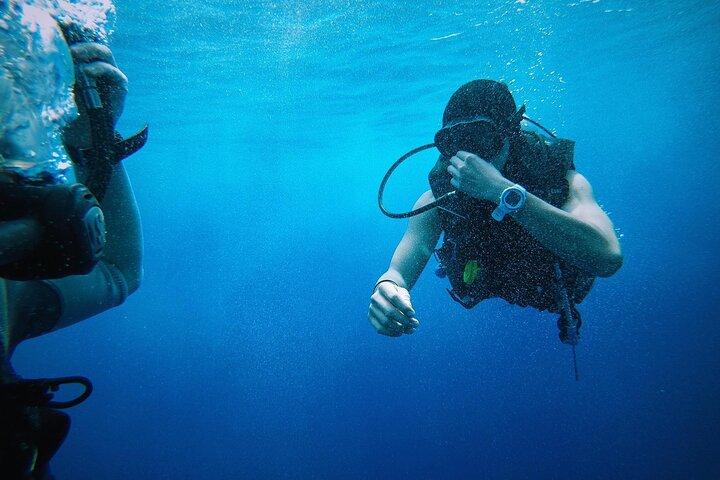Key West from Miami with Snorkeling, Drinks and Hard Rock Cafe Meal
