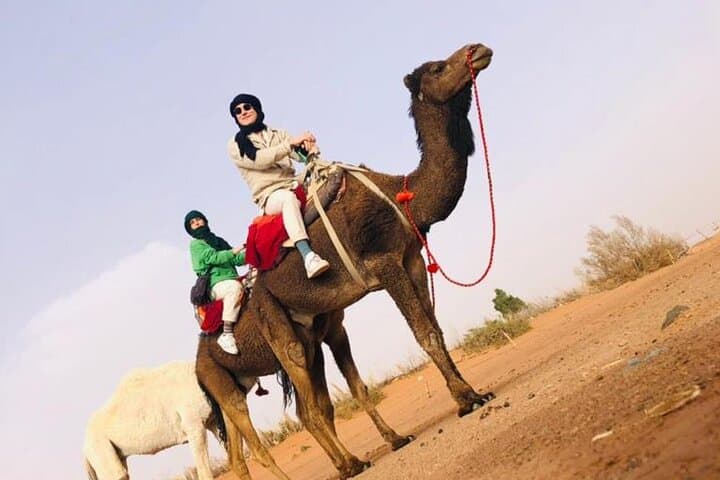 Private 1-Hour Camel Ride in Marrakech with Sunset and Tea pause