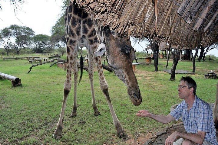 Private Full Day Day Trip to Mombasa City