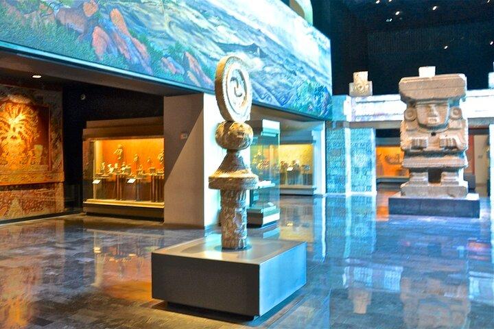 Anthropology Museum Ticket with Digital Guide included