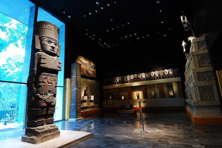 Anthropology Museum Ticket with Digital Guide included