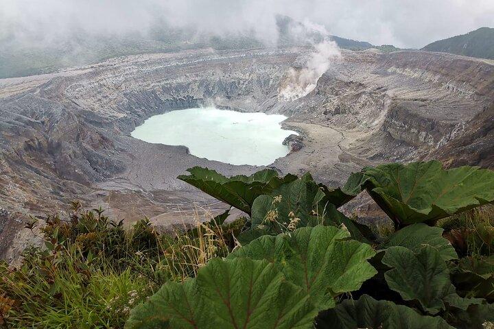 Poás Volcano, Coffee Plantation and La Paz Waterfall Gardens Tour