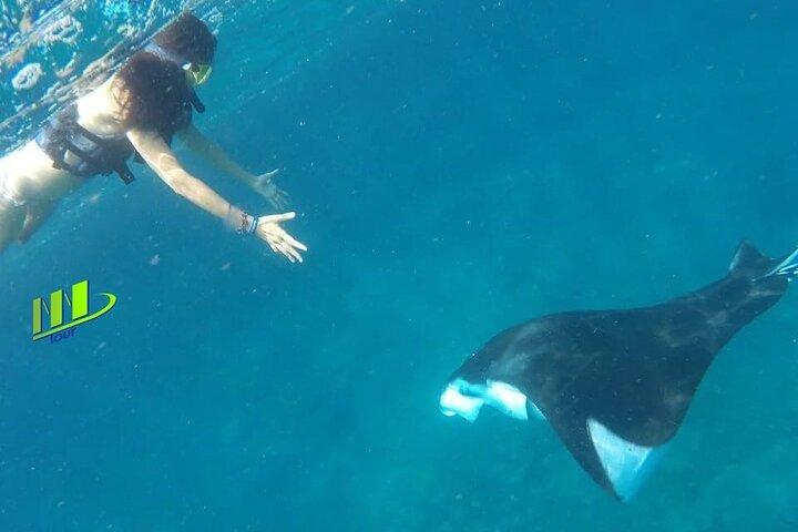 Manta Bay and Diamond Beach Private Snorkeling Tour with Lunch