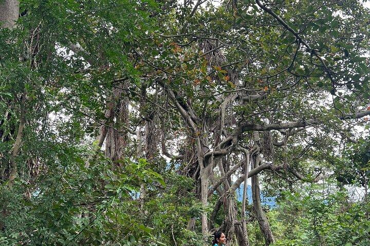 Moderate Himalayan Treks Near Rishikesh From Delhi