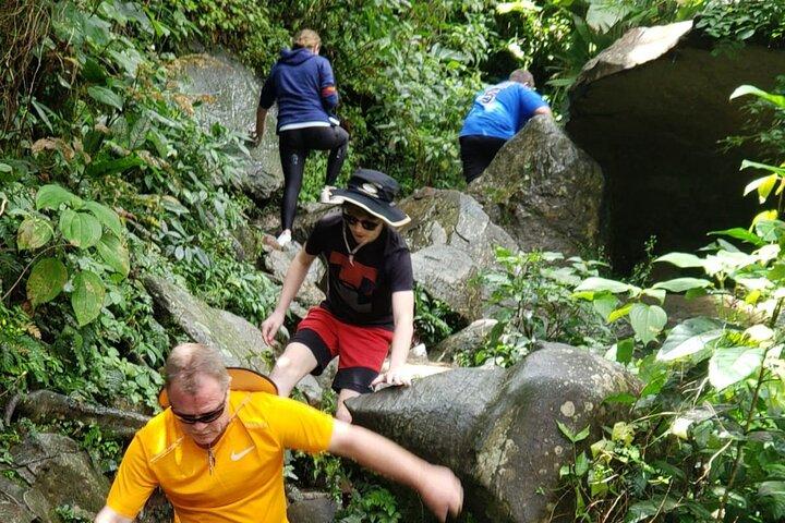 El Yunque Rainforest Guided Tour