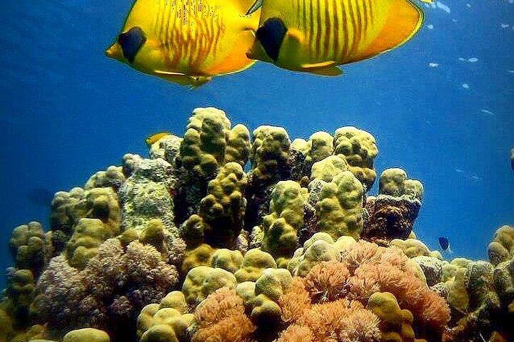 Blue Lagoon, Starfish Tour, The Rock Restaurant, Prison Island, Secret Garden