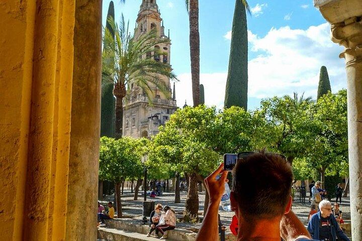 Private tour to Cordoba from Seville (several options)