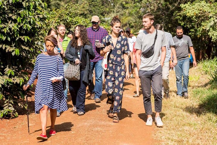 Coffee Farm Village & Factory Half Day Tour with Pick-Up