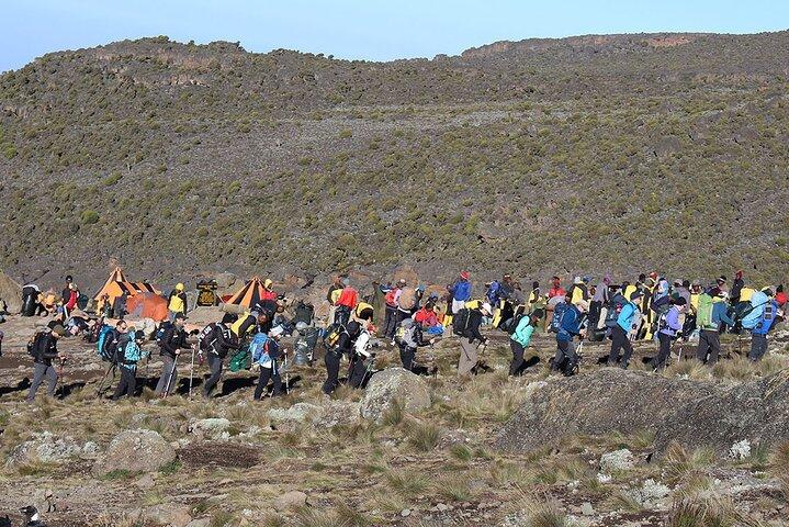 6 Days: Hiking Kilimanjaro via Machame Route