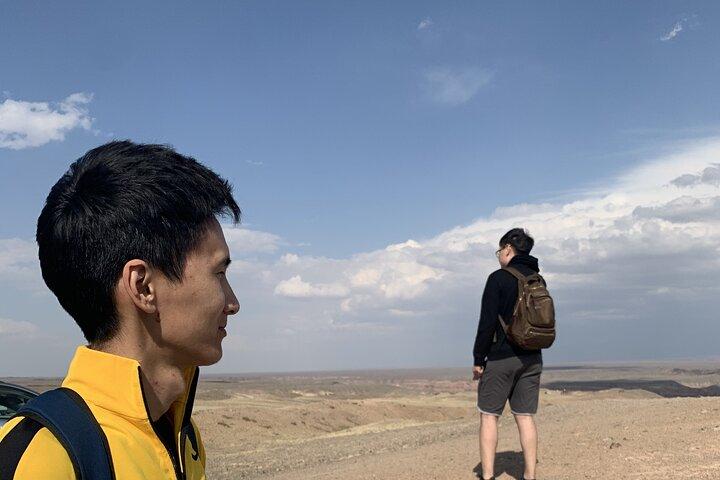 One Day Private Kolsay Lake, Kaindy Lake, Charyn and Black canyon
