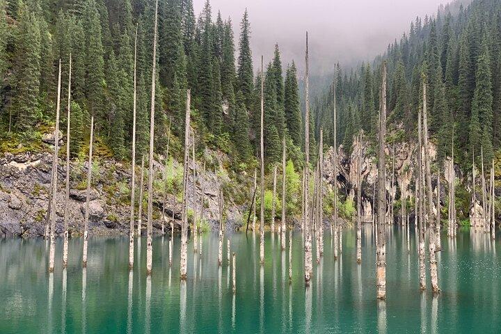 One Day Private Kolsay Lake, Kaindy Lake, Charyn and Black canyon