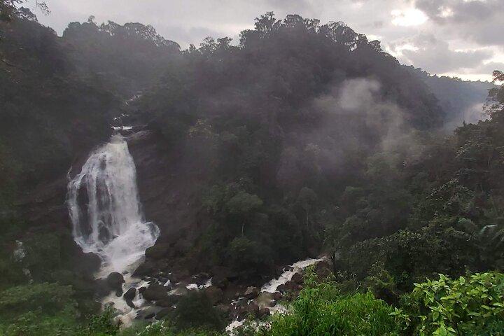 3 Nights Private Deluxe Tour- Cochin/Munnar/Houseboat/Cochin