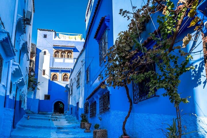 Chefchaouen the Blue City Private Full-Day Trip from Rabat