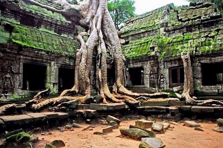 Full-day Private VIP Tour to Angkor Complex
