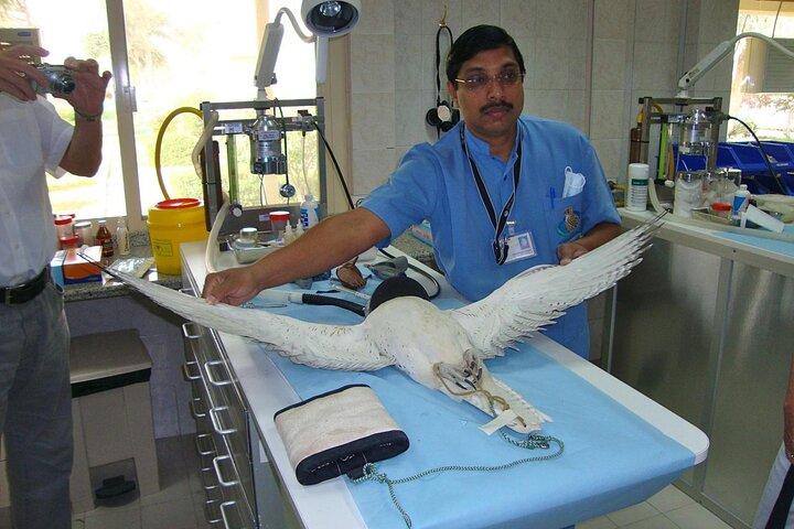 Private Trip to Abu Dhabi Mosque and Falcon Hospital