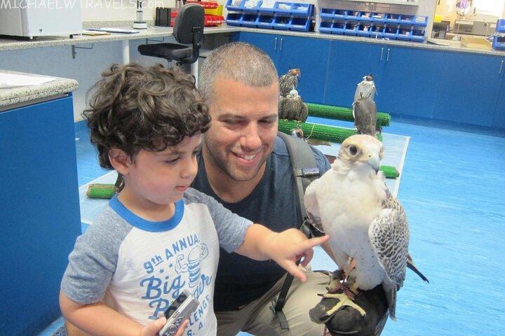 Private Trip to Abu Dhabi Mosque and Falcon Hospital