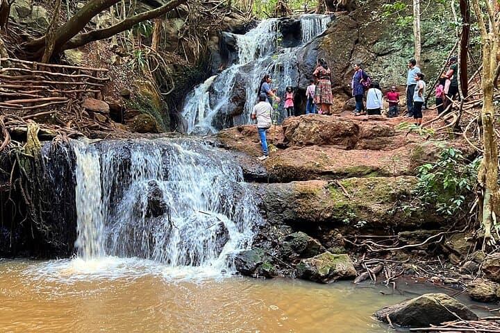 Karura Forest Nature Trail