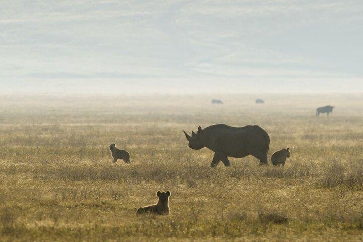 2 Days Safari Tour in Tarangire and Ngorongoro Crater