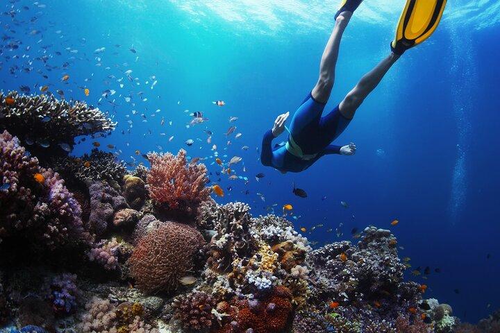 Blue Lagoon Bali Snorkeling — All-Inclusive Tour with Lunch