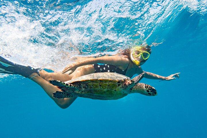 Blue Lagoon Bali Snorkeling — All-Inclusive Tour with Lunch