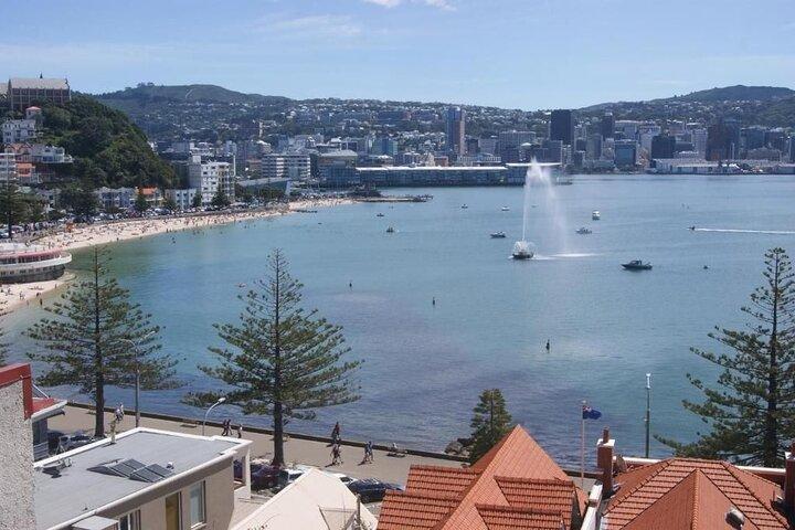 Wellington City Heights Private Sightseeing 6 hour tour