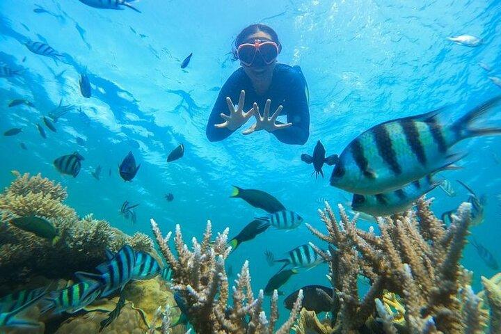 Bali Snorkeling at Blue Lagoon Beach with All-Inclusive Tour
