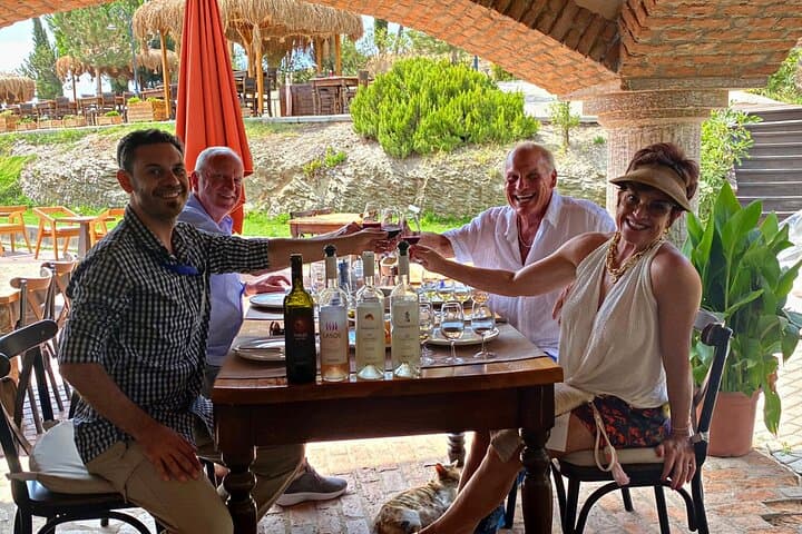 Private Ephesus Tour & Wine Tasting at Boutique Winery & Lunch