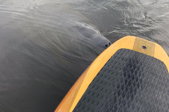 Orlando Manatee and Olde Florida History Adventure Tour