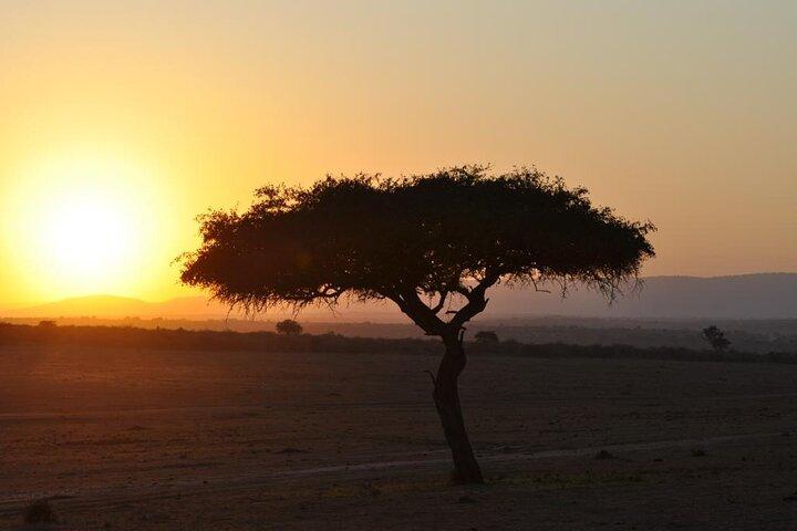 7 Day Classic Kenyan Safari with Unlimited Game Drives