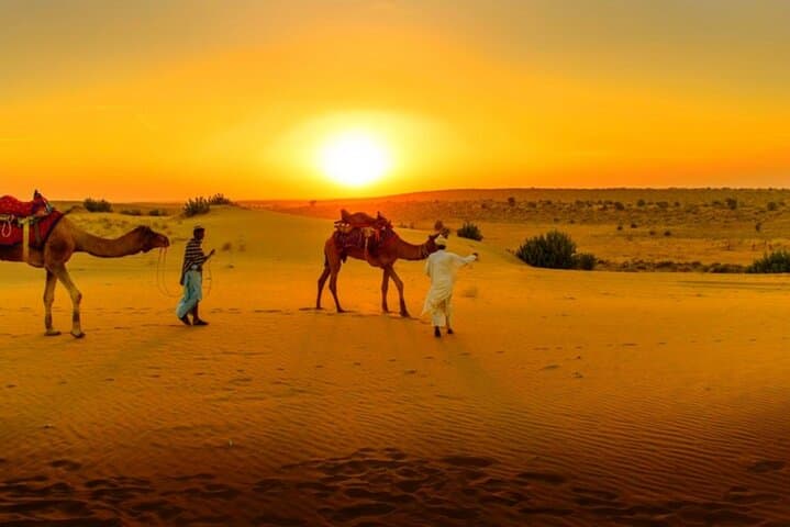 Agafay Desert Sunset and Camel Ride with Dinner from Marrakech