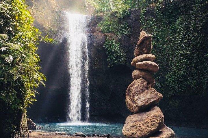Bali: Ubud Highlights Tour with Private Guide and Transfers