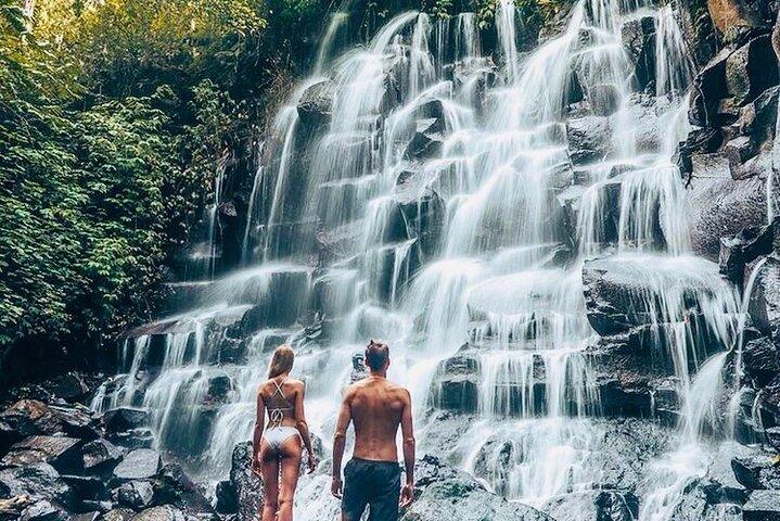 Bali: Ubud Highlights Tour with Private Guide and Transfers