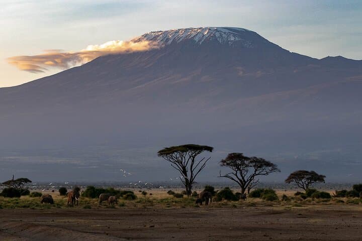 3-Day Amboseli Safari from Nairobi
