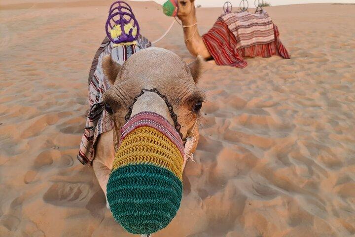 Dubai: 60Minute Self-Drive ATV Quadbike, Camel Ride, Sand Surfing
