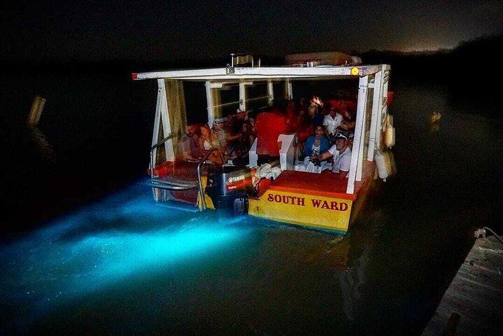 Luminous Lagoon Nighttime Boat Tour from Montego Bay