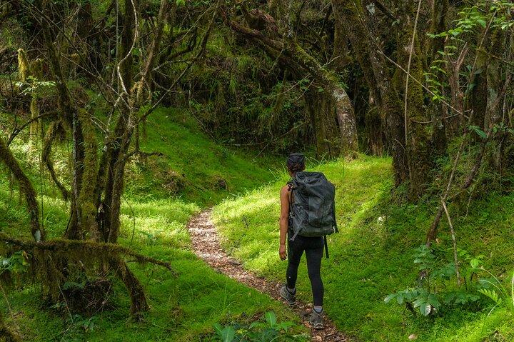 6-Day Mount Meru Climb through Momella Route Guided Tour