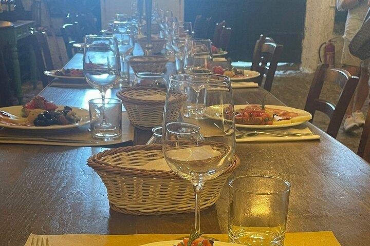 Lunch and Wine Tasting in the Roman countryside