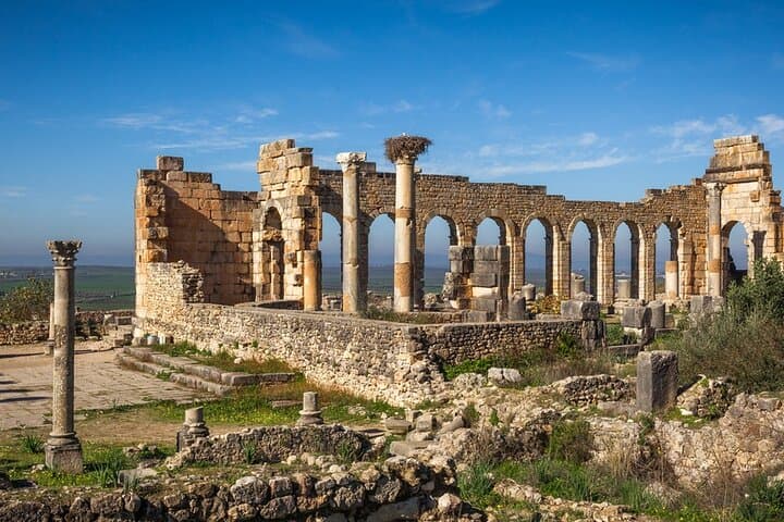 Full-Day Tour from Fez to Vollubulis, Moulay Idriss Zerhoun, Mèknes