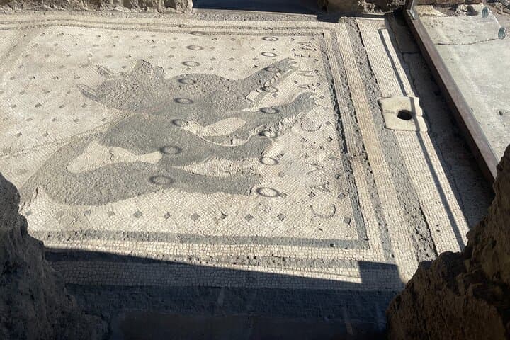 Pompeii Guided Tour with Skip-the-Line Entry